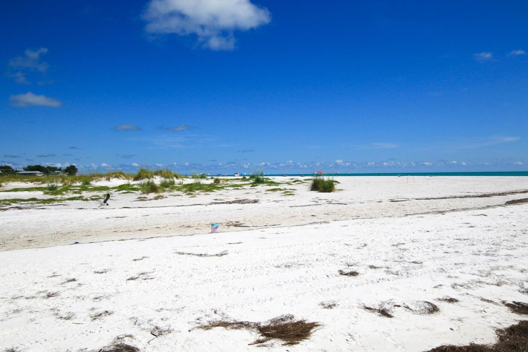 Anna Maria Island Runaway Tropical Dream-One Minute Walk To The Beach-Heated Pool Bradenton Beach Exteriör bild